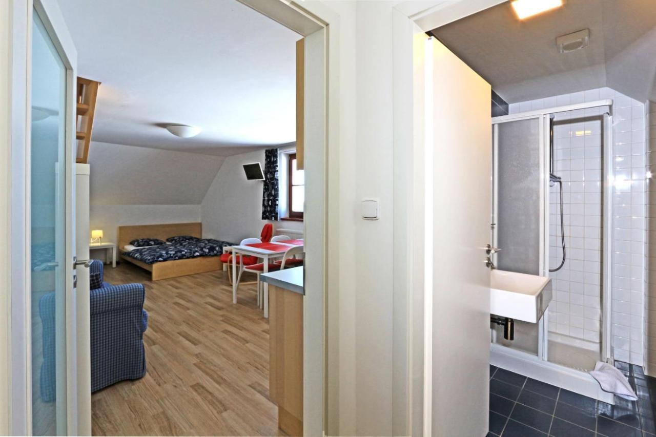 Apartmany Fox Boží Dar Zewnętrze zdjęcie